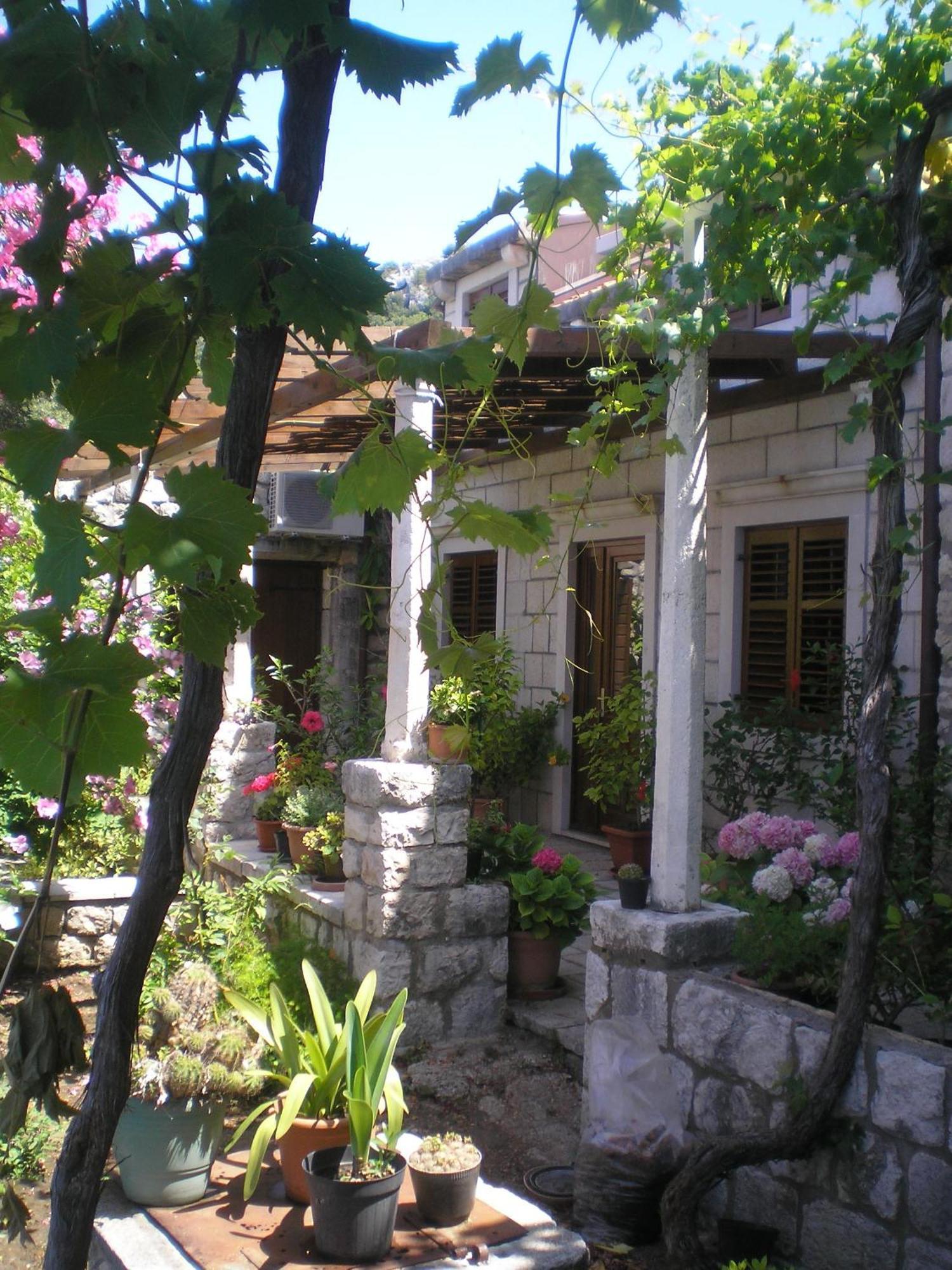 Villa Gverovic Štikovica Стая снимка